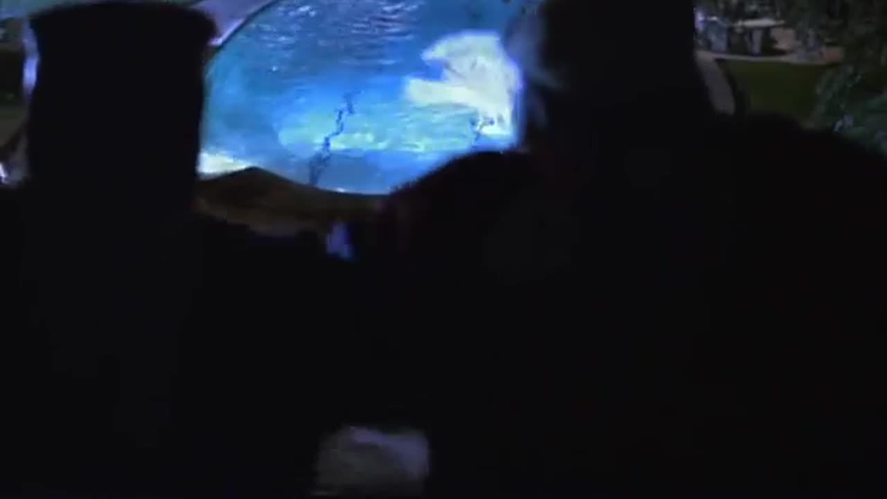 "Disorderlies" Starring The Fat Boys