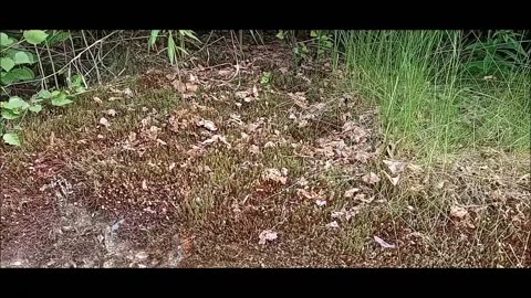 Alaska Pt. 11
