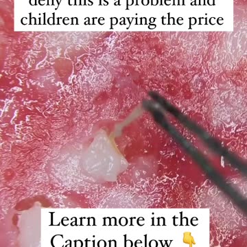 Educational Purposes Only..!