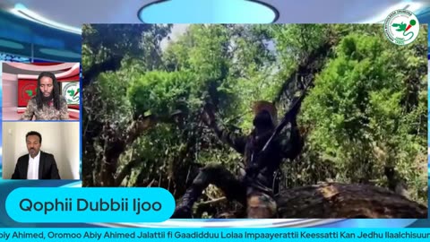 Qophii Dubbii Ijoo ONM-ABO Caamsaa 28-2025 itti dhiyaadhaa!