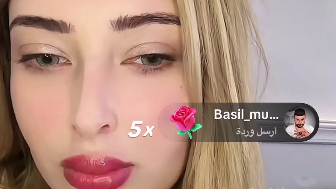 المملكة ناتو