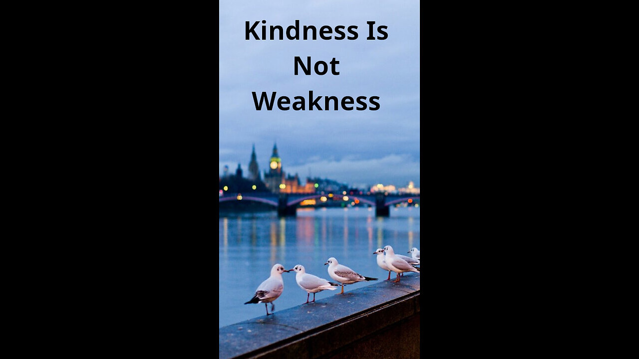 Michael 📡 464 ~ Kindness Is Not Weakness
