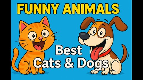 Funny Animal Videos - Funny Cats and Dogs - Funny Animals - Happy Pett