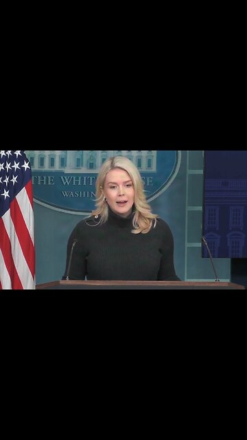 Karoline Leavitt Questions Whether Ilhan Omar's Wealth Is Connected To Minnesota Fraud