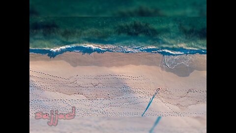 “Nature’s therapy from above ✨”