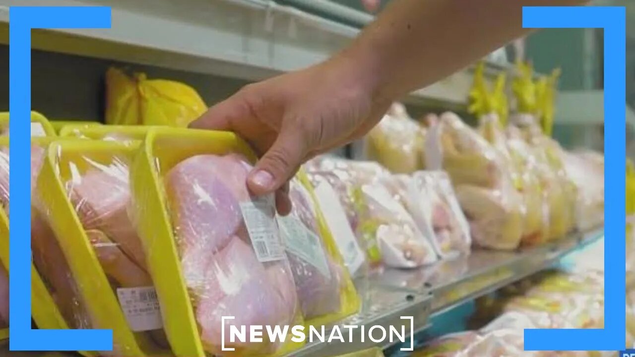 Europe rejects US chlorinated chicken, citing food safety concerns