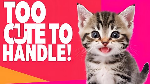 Cutest Baby Kittens Ever! 🐾 #ViralScene