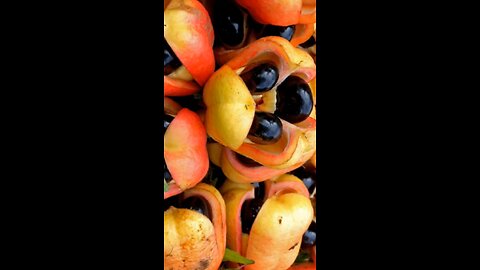 Ackee And Saltfish