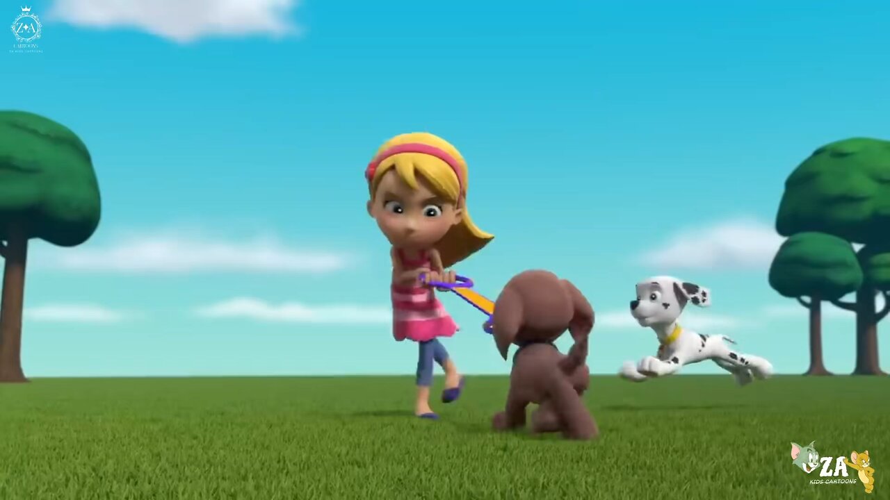 PAW Patrol Cartoons