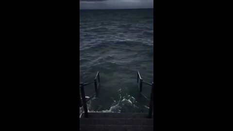Viral Funny videos