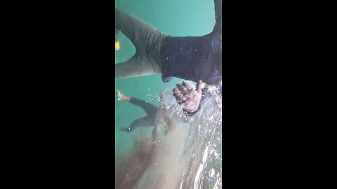 INCREDIBLE SQUID & SEAFOOD HUNT – REAL OCEAN ADVENTURE!