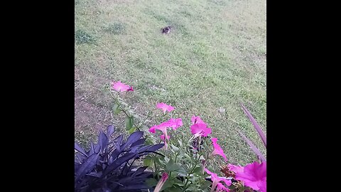 Quick "Hello!"