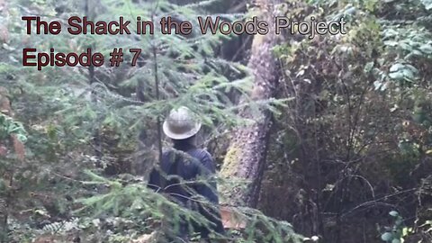 07 Turning Defect/Cull Trees into Lumber