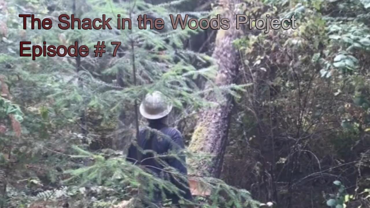 07 Turning Defect/Cull Trees into Lumber