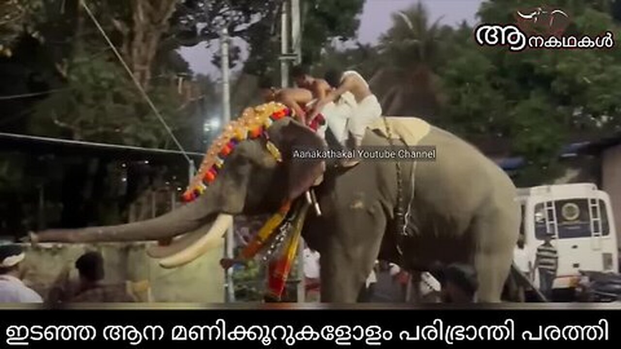 പിടിവിട്ടാൽ ആന ചവിട്ടി കൊല്ലും, പേടിച്ചു വിറച്ചു ഇടഞ്ഞ ആനപ്പുറത്ത് _ Elephant attack kerala 2025