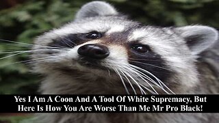Yes I Am A Coon & A Tool Of White Supremacy But Let Me Show You How You Are Worse!