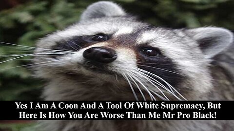 Yes I Am A Coon & A Tool Of White Supremacy But Let Me Show You How You Are Worse!