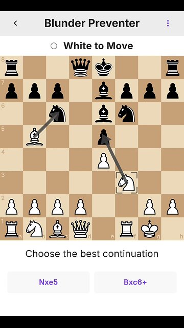 Blunder Preventer 13.05.2025