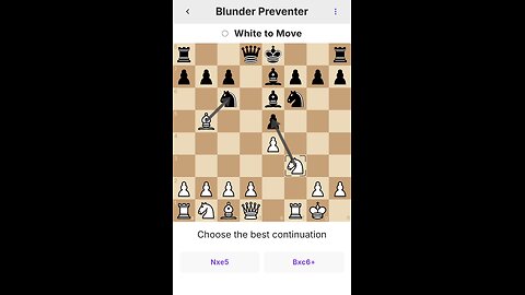 Blunder Preventer 13.05.2025