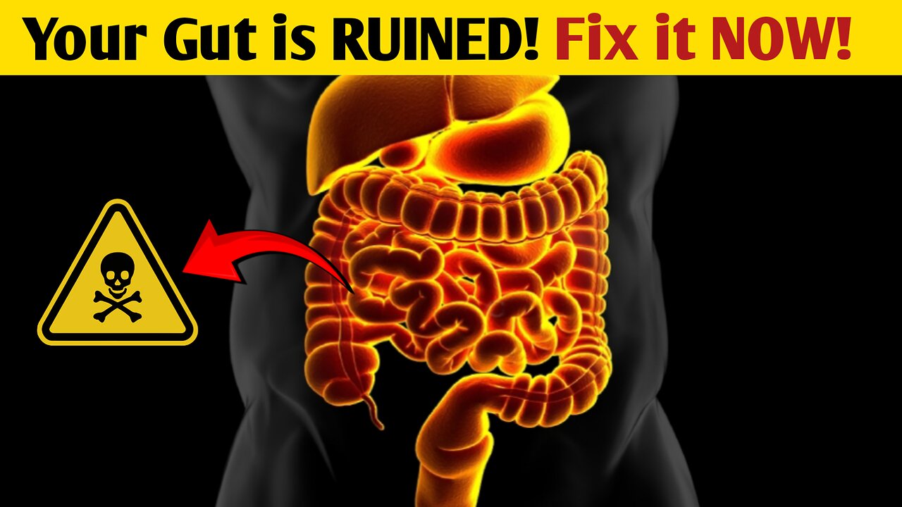 "How to Improve Gut Health Naturally |