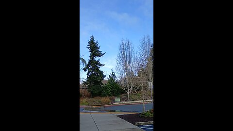 Clear Blue Skies Bellevue Washington 12 8 25