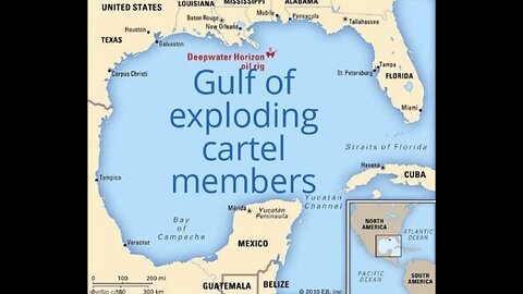 🇺🇸WeNotMe🇺🇸 🎬Episode 281🎬 📆Tuesday 11/4 ⏰6pm EST ~ 5pm CST ~ 4pm MST ~ 3pm PST ⏰