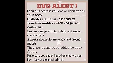 Culver’s Fries Mold, McDonald’s Don’t...