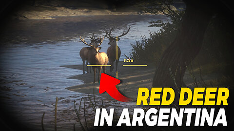 Hunting Red Deer in Argentina | theHunter: Call of the Wild