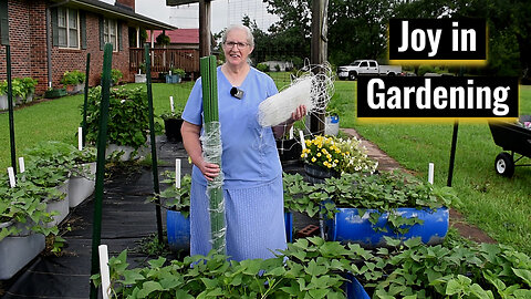 Sweet Potato Container Gardening, Success in Small Spaces, Inspirational Thought