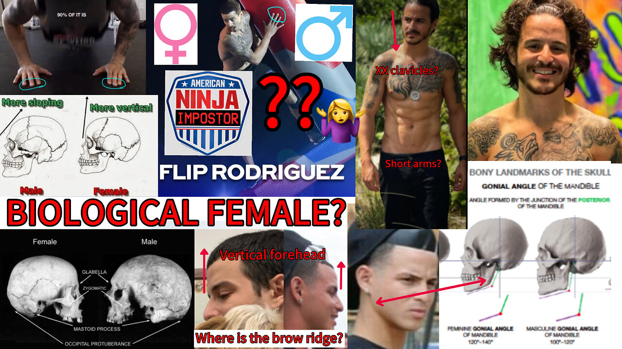 AMERICAN NINJA IMPOSTOR #23 - DAVID “FLIP” RODRIGUEZ