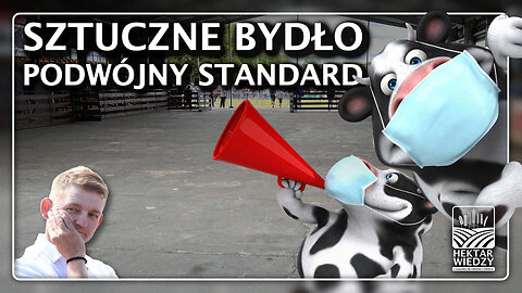 Sztuczne bydło. Podwójny standard. | ASF | Szepietowo | po polsku