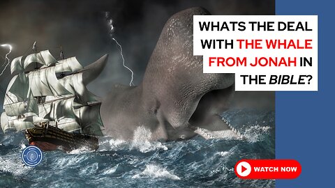 What's the deal with the whale from Jonah in the Bible?