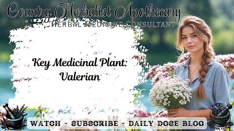 Key Medicinal Plant: Valerian