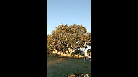 My Anvil is given to the Bride of Christ 1/16/26