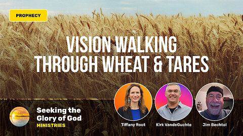 Vision of Serpents, Wheat & Tares - Tiffany Root, Kirk VandeGuchte, Jim Bechtol, Tracie Coleman