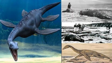 Dragons are now called Dinosaurs: Pieces of Logic to help build the Tapestry of Truth in your minds