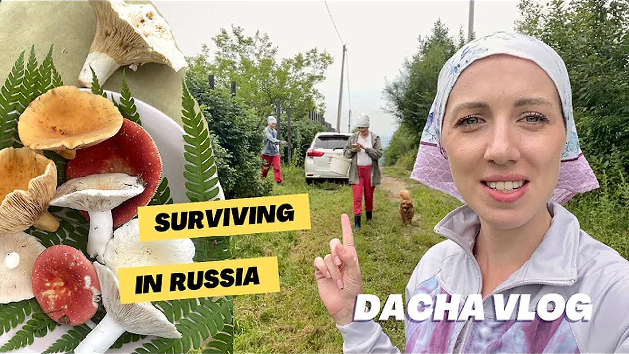 Day at my dacha! 🇷🇺 Picking mushrooms and growing veggies in Russia!