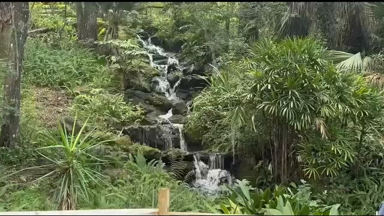 Relaxing water fall