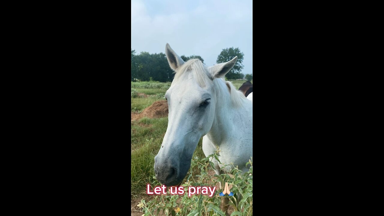Pray with us