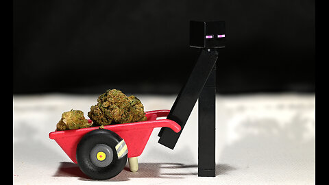 Sledgeham-Os #weed #smokeRINGS #phoenixstarglass