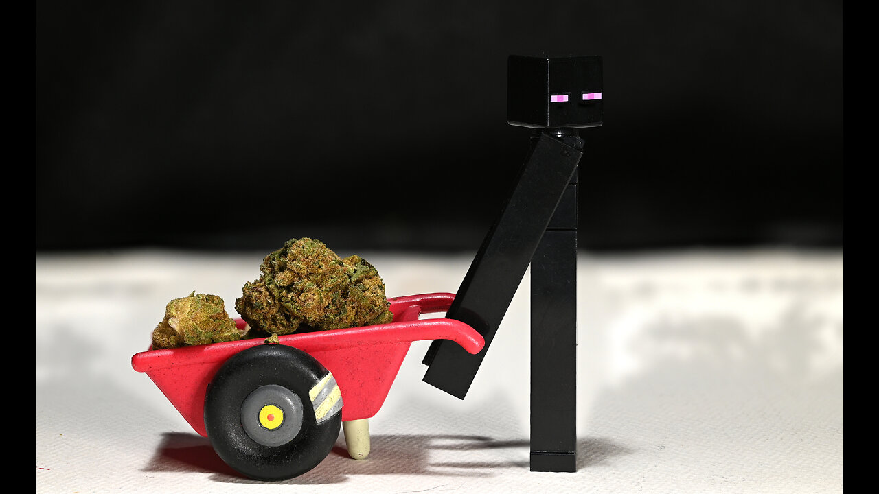 Sledgeham-Os #weed #smokeRINGS #phoenixstarglass