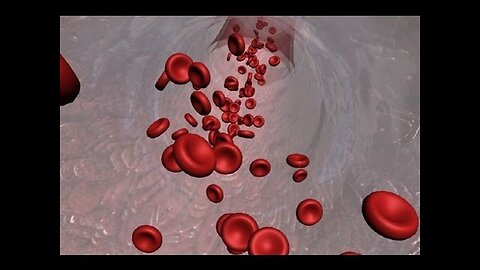 "Explore Cancer Biology: Comprehensive Animated Documentary Guide"