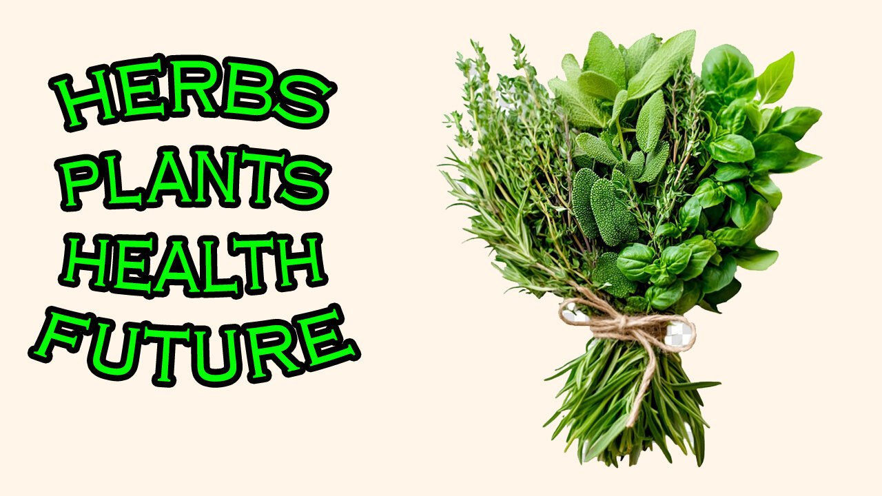 HERBS, PLANTS OUR FUTURE... & the WEATHER - Read 23 May 2025