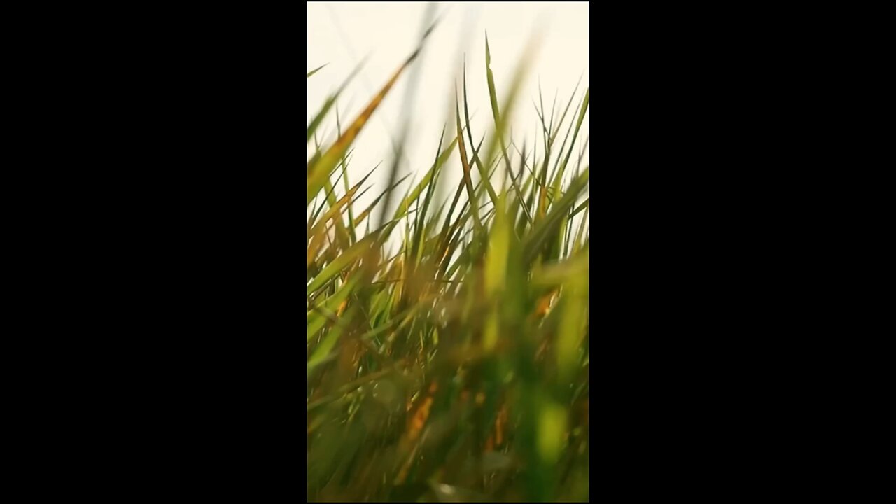 Daily Verse April 30th 2025