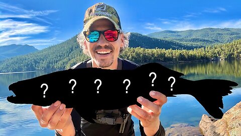 WHAT IS THIS SPECIES OF FISH DOING IN THIS HIGH ALTITUDE COLORADO RESERVOIR?