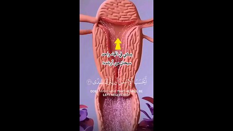 سبحان من خلق فأبدع