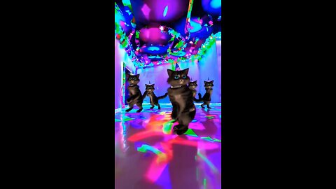 Dancing Cats Take the Stage… Until a Chick Steals the Spotlight! 🐱🐣💃