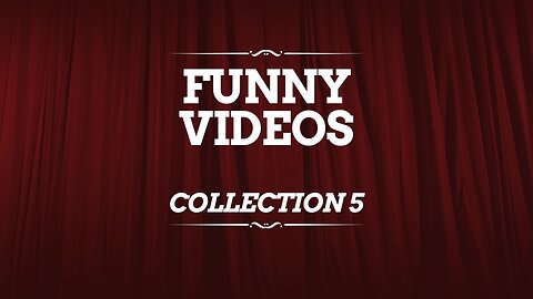 Funny videos. Collection 5