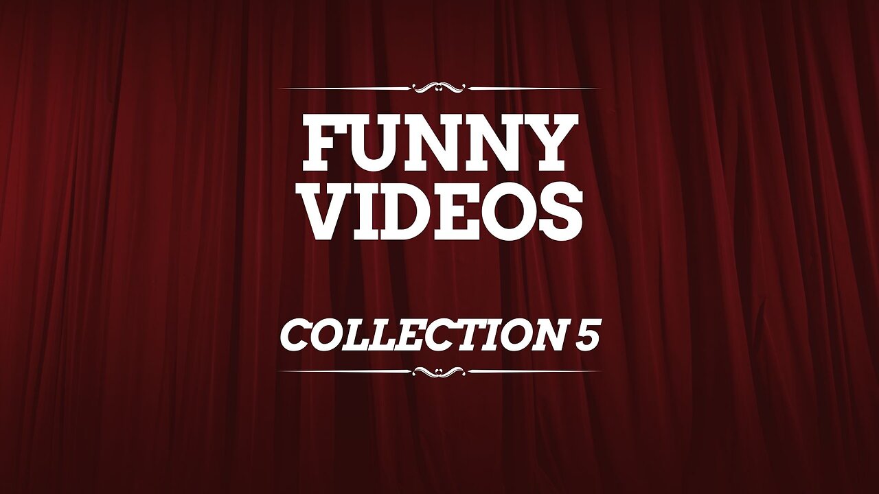 Funny videos. Collection 5
