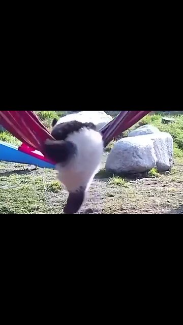 COMMITMENT ON TRIAL - DAILY DEVOTIONAL ❤️